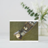 アジアの漁師（上空から） ポストカード (スタンド正面)