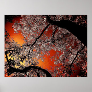 アジアの空 ポスター