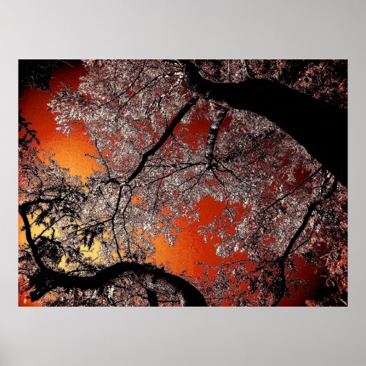 アジアの空 ポスター (正面)