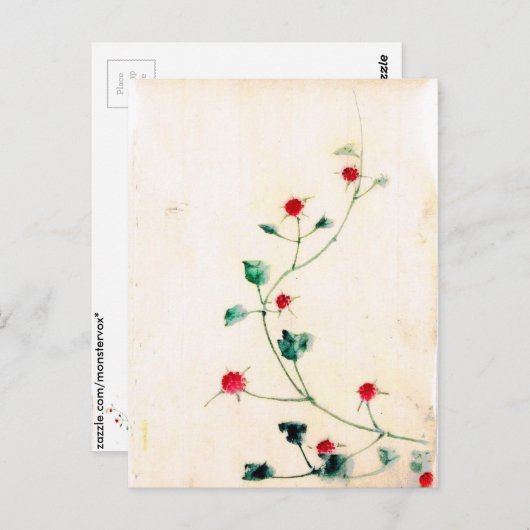 アジアの花 ポストカード (正面/裏面)