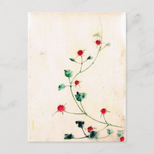 アジアの花 ポストカード (正面)