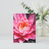 アジアの花、蓮の花 ポストカード (スタンド正面)