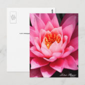 アジアの花、蓮の花 ポストカード (正面/裏面)