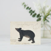 アジアの黒いクマ、"ウルソスのチベット語" ポストカード (スタンド正面)