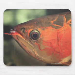 アジアのarowana マウスパッド