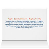 アジアガーデン – ナポリ植物園ナポリ，フロリダ (内部横(上))