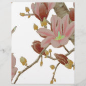 アジアサマーフライヤー チラシ (裏面)