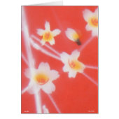 アジアスタイル – カード –  (正面)