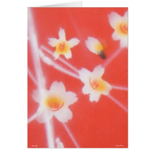 アジアスタイル – カード –  (正面)