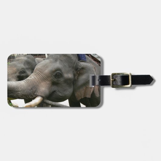 アジアゾウにタイのバナナを食べ物を与えます! ラゲッジタグ (正面横)