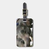 アジアゾウにタイのバナナを食べ物を与えます! ラゲッジタグ (正面縦)