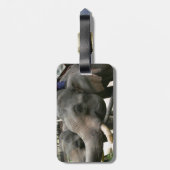 アジアゾウにタイのバナナを食べ物を与えます! ラゲッジタグ (裏面縦)