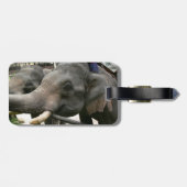 アジアゾウにタイのバナナを食べ物を与えます! ラゲッジタグ (裏面横)