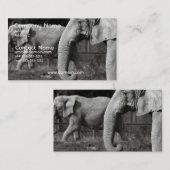 アジアゾウの名刺 名刺 (正面/裏面)