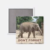 アジアゾウ日付磁石を保存 マグネット (正面/裏面)