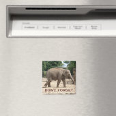 アジアゾウ日付磁石を保存 マグネット (インサイチュ (食洗機))