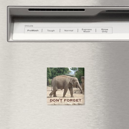 アジアゾウ日付磁石を保存 マグネット (インサイチュ (食洗機))