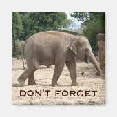 アジアゾウ日付磁石を保存 マグネット (正面)