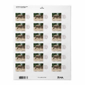 アジアゾウ歩くオン砂粘着ラベル ラベル (フルシート)