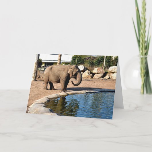 アジアゾウ シーズンカード (正面)