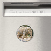 アジアゾウ マグネット (インサイチュ (食洗機))