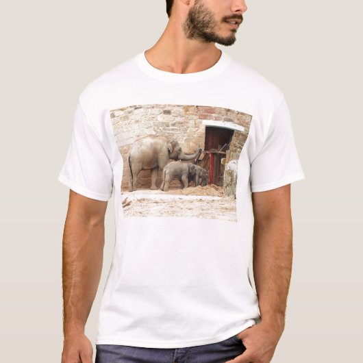 アジアゾウ Tシャツ (正面)