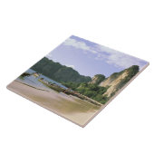 アジアタイクラビウェストレーレイビーチ、ロング タイル (側面)