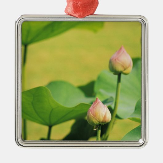 アジアタイバンコクグランドパレス，蓮 メタルオーナメント (正面)