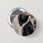 アジアツキノワグマ 缶バッジ (正面&裏面)