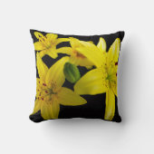 アジアユリーオンブラック クッション (正面)