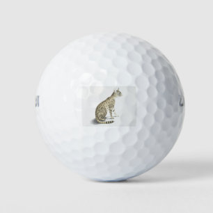 アジアワイルドキャットハッピーバースデーアジアステップワイルド ゴルフボール