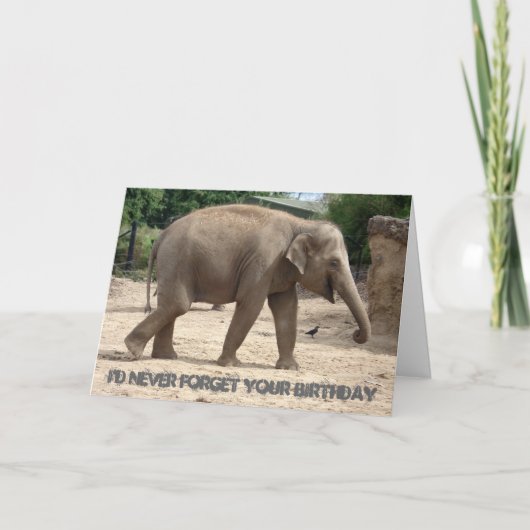 アジアンエレファント歩くオンサンド誕生日カード カード (正面)