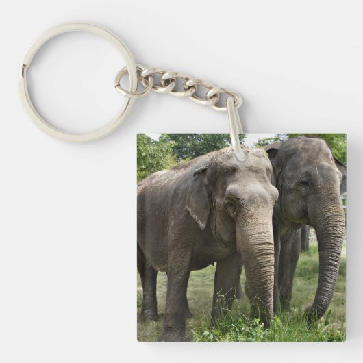 アジアンゾウが並ぶ キーホルダー (正面)