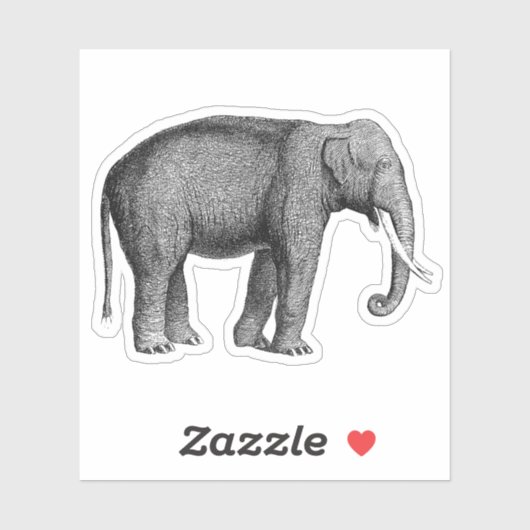 アジアンゾウプリント シール (シート)