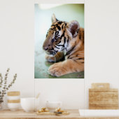 アジアンタイガー ポスター (キッチン)