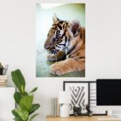 アジアンタイガー ポスター (ホームオフィス)