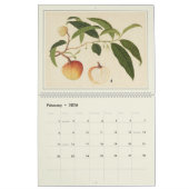 アジアンフルーツウォーターモダンカラーファームハウスデコール カレンダー (2月 2026)