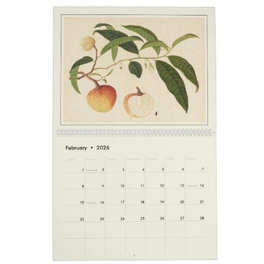 アジアンフルーツウォーターモダンカラーファームハウスデコール カレンダー (2月 2026)