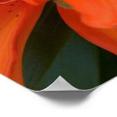 アジアンリリー ポスター (角)