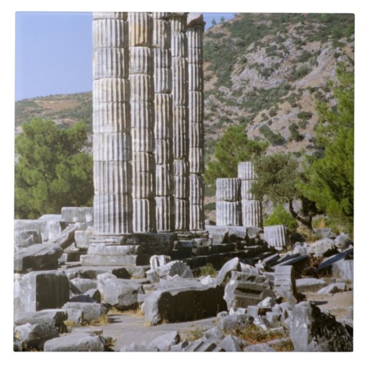 アジア中東トルコエフェソス神殿 タイル (正面)