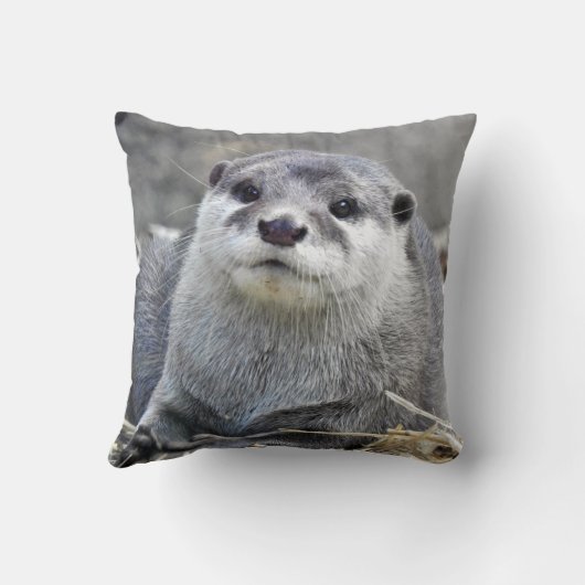 アジア人によって小型引き裂かれるカワウソ クッション (裏面)