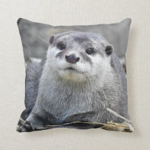 アジア人によって小型引き裂かれるカワウソ