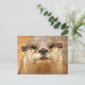 アジア小さい引き裂かれたカワウソ ポストカード (スタンド正面)