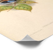 アジア産ヴィンテージ ポスター (角)