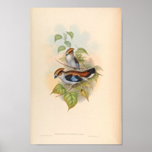 アジア産ヴィンテージ ポスター (正面)