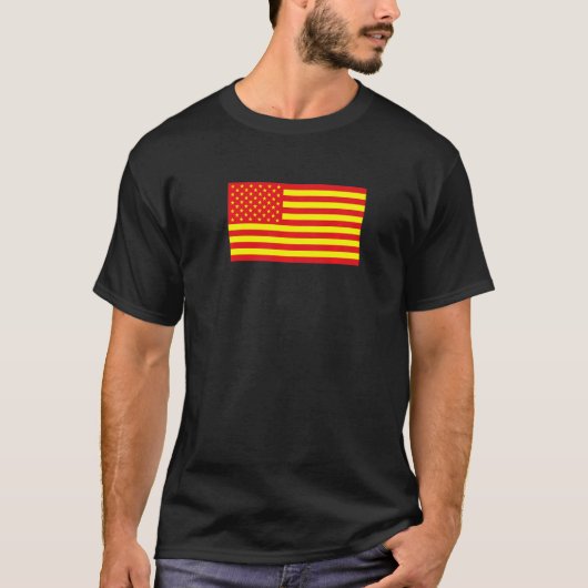 アジア米国国旗 Tシャツ (正面)