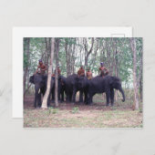 アジア象はがき ポストカード (正面/裏面)