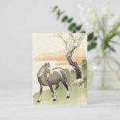 アジア馬ヴィンテージはがき ポストカード (スタンド正面)