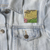 アジア12 缶バッジ (インサイチュ)