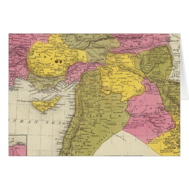 アジア2のトルコ (正面横)